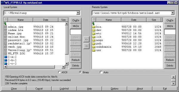 ftp.bmp (31895 bytes)